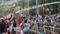 Jharkhand CGL Protest Turns Violent as Students Storm Assembly Lathicharge