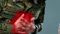 Gaya BMP Jawan Dies of Heart Attack During Training