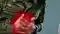 Gaya BMP Jawan Dies of Heart Attack During Training