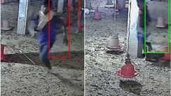 नवादा मे सनसनीखेज वारदात,  तकरीबन 3.5 लाख के मुर्गियां ले उड़े चोर