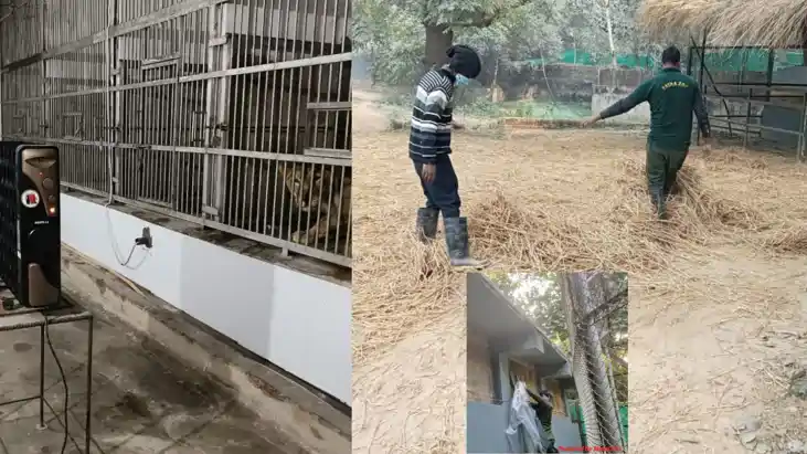 Patna Zoo