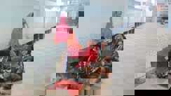 मानवता शर्मसार: घायल को मदद के नाम पर ले गए, मौत हुई तो सदर अस्पताल में शव फेंककर फरार