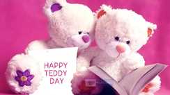  Teddy Day 