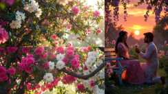 The color of Phagun the melody of spring when nature sings