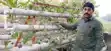 Hydroponics farming - खेत-खलिहान भूल जाइए! वैशाली के किसान ने पाइप और कपड़े की बत्ती से उगाई 28 तरह की सब्जियां, बिना मिट्टी 'कोट-पेंट' पहनकर करें खेती