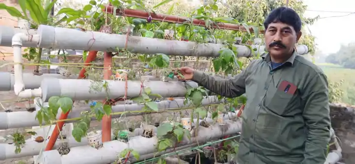 Hydroponics farming - खेत-खलिहान भूल जाइए! वैशाली के किसान न