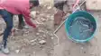 घर के पास मिला 5 फीट लंबा गेहुअन सांप और उसके 17 बच्चे : इलाके में हड़कंप, स्नेक रेस्क्यू टीम ने संभाला मोर्चा