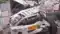 Bihar Road Accident