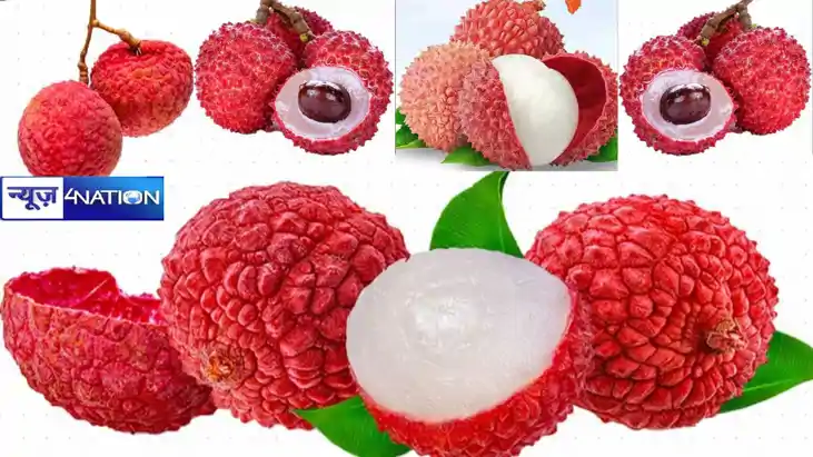 Bihar LItchi Bihar LItchi