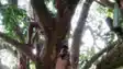 Digital Bihar