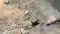 New Road Cracks in 60 Days Corruption Alleged in Motihari