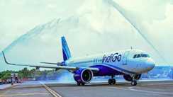 इंडिगो में 'इस्तीफा' संकट: 3 लाख यात्रियों की परेशानी और करोड़ों के जुर्माने के बाद CEO पीटर एल्बर्स ने छोड़ा पद