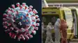 Hantavirus Scare 3 Dead Global Health Alert Intensifies