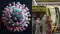 Hantavirus Scare 3 Dead Global Health Alert Intensifies