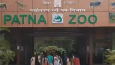 Patna Zoo Shut After 52 Years as Storms Uproot Trees