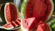 Watermelon Turns Toxic 8 Family Members Hospitalised with Food Poisoning