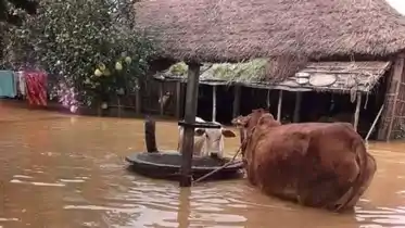 Bihar floods
