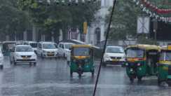 Weather Forecast