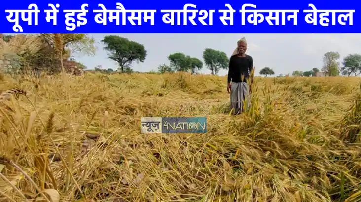 UP weather: यूपी में हुई बेमौसम बारिश से कहीं खुशी कहीं गम, 