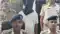 पटना में चल रहा था चाइल्ड पोर्नोग्राफी का गंदा खेल, पुलिस ने धंधे में लिप्त एक को दबोचा, जांच शुरू