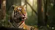 Tiger attack - किसान को बाघ ने मार डाला, पकड़ने  गए वनकर्मी को जंगली जानवर ने किया घायल