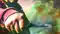 Knife Attack Patna Transport Nagar Patna