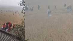 Bettiah Fresh Land Dispute Turns Violent 