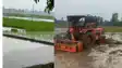 patna bikram monsoon rain farmers start paddy transplantation
