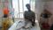 Muzaffarpur Gold Trader Shot Robbed of 1 5 Lakh Ambush