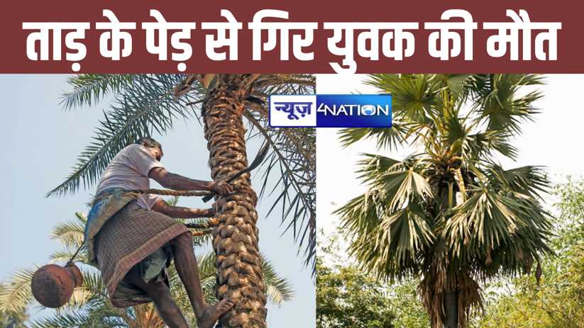औरंगाबाद में ताड़ के पेड़ से गिरकर युवक की हुई मौत, परिजनों 