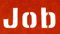 Sarkari Naukari 2025