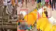 देवघर में शख्स के निधन पर बंदर की आंखें हुईं नम, कफन हटाकर शव को दी श्रद्धांजलि 