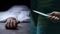 murder in Motihari
