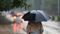 Monsoon  in Bihar