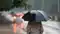 Monsoon  in Bihar