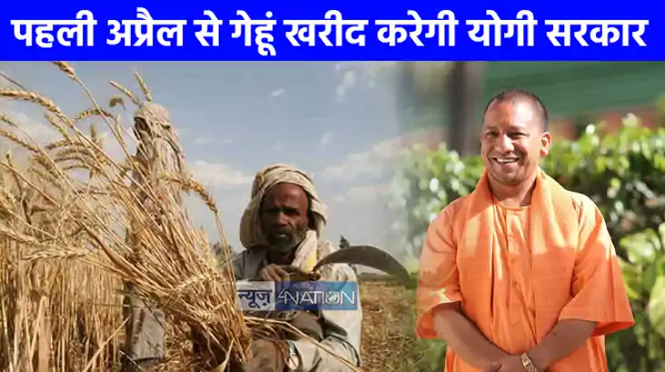 UP NEWS: ना जलाएं पराली, ऑर्गेनिक उत्पाद के रूप में ये है मि