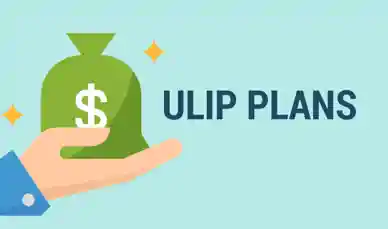 ULIP