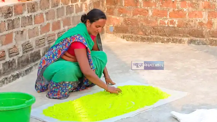 Holi Festival 2025 : बिहार में सब्जी और फूलों से जीविका की द Holi Festival 2025 : बिहार में सब्जी और फूलों से जीविका की द