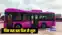 Bihar pink buses