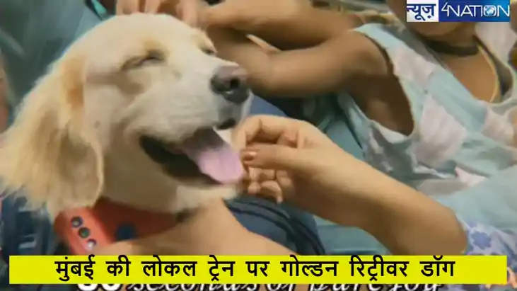 Watch: मुंबई लोकल में पालतू कुत्ता के ट्रेवल करने वाला वीडिय