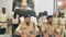 Bihar News : सिवान पुलिस को मादक पदार्थों के खिलाफ मिली बड़ी कामयाबी, भारी मात्रा में स्मैक के साथ 6 आरोपियों को किया गिरफ्तार  