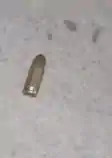 Muzaffarpur firing incident