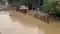 Bihar Flood 