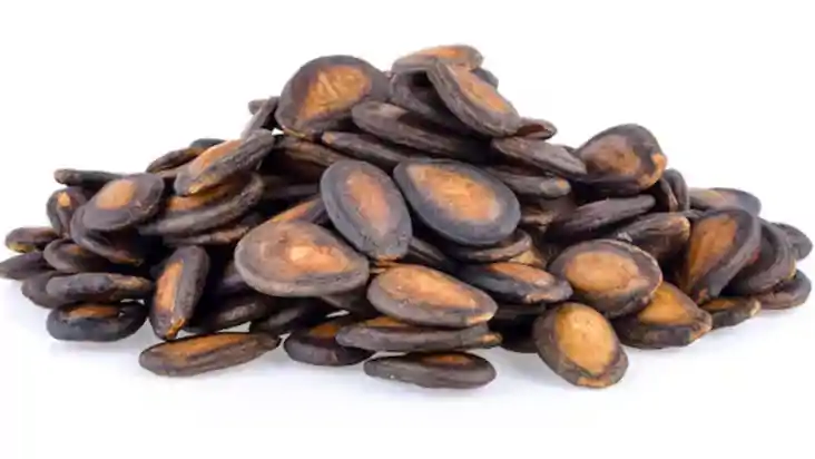watermelon seeds 
