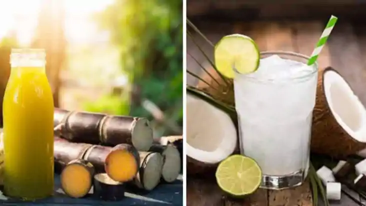 summer drink 