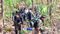 Naxalites Encounter