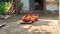 Nawada Murder