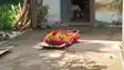 Nawada Murder