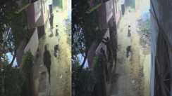 Ara Turns Theft Hotspot 