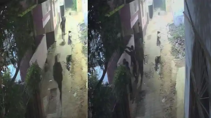 Ara Turns Theft Hotspot 